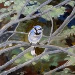 Branches. 20×24, Oil on Canvas, 2012. Available.